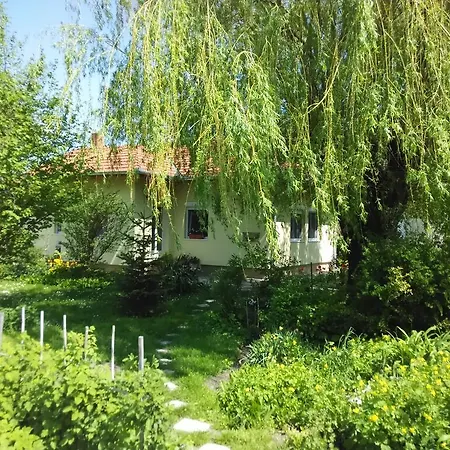 Bloomyapartment דירה בלטונפנבש