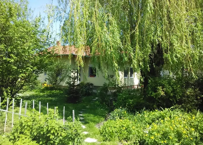 Bloomyapartment Апартаменты Балатонфеньвеш